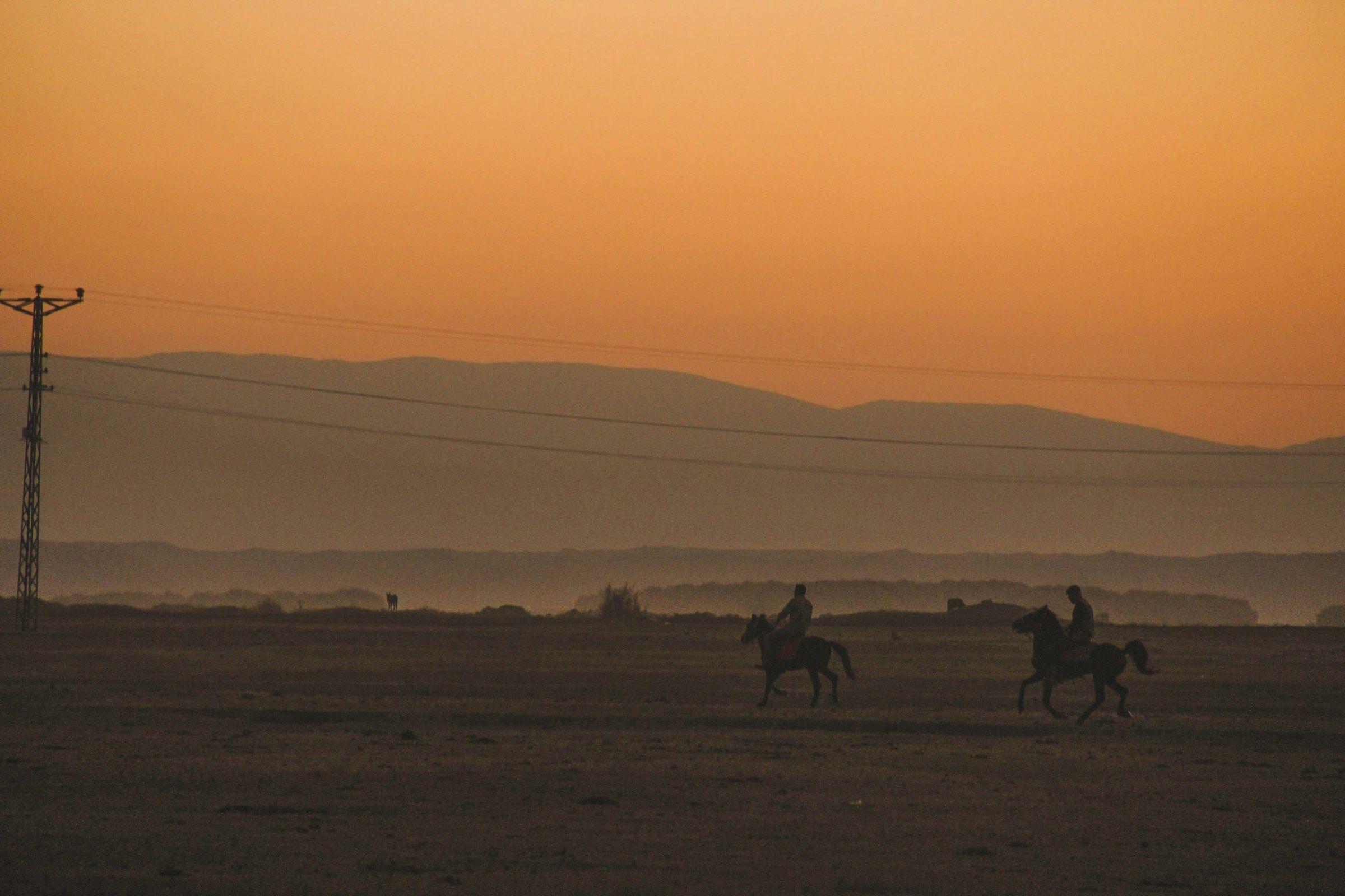 Silhouette of people riding horses on brown field during daytime.