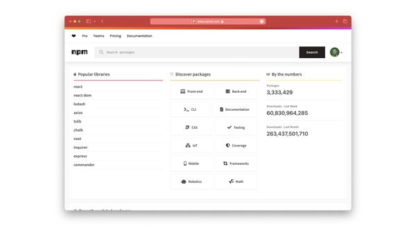 Screenshot of npm